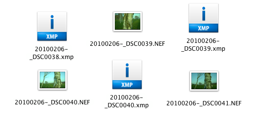 Screenshot of XMP files next to NEF (raw) files