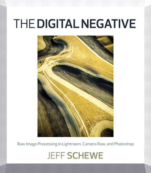 Cover Image from Jeff Schewe's book, The Digital Negative